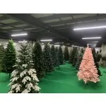 Buy christmas tree pallets
